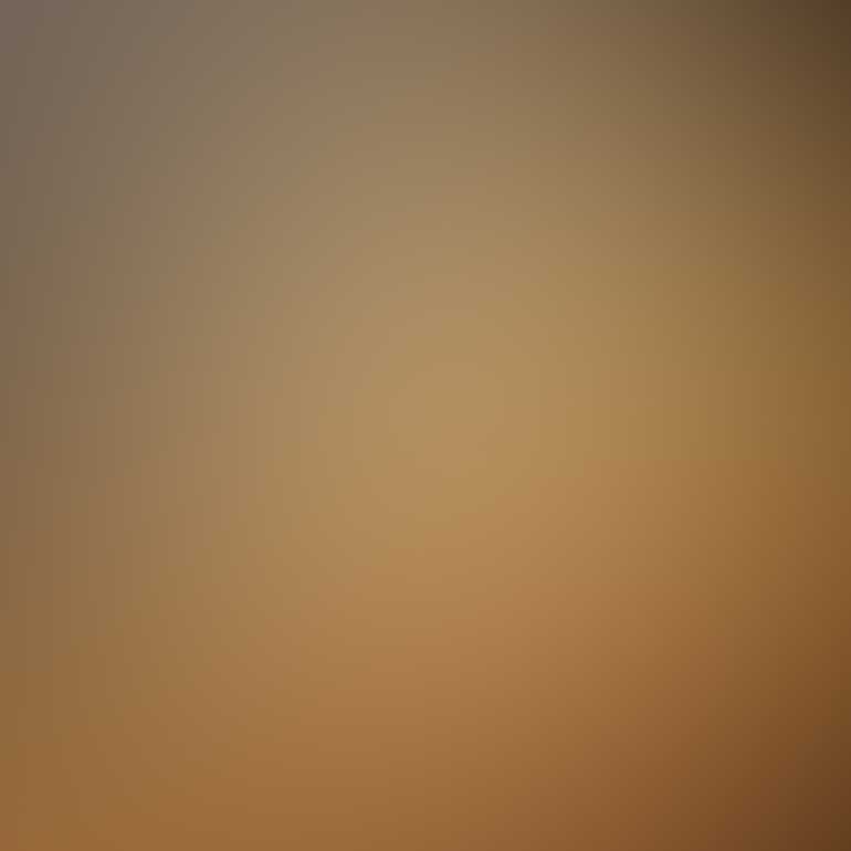 About One Click Tourism